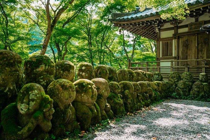 Kyoto Private Tour – Full Day | Hidden Gems & Nara Option