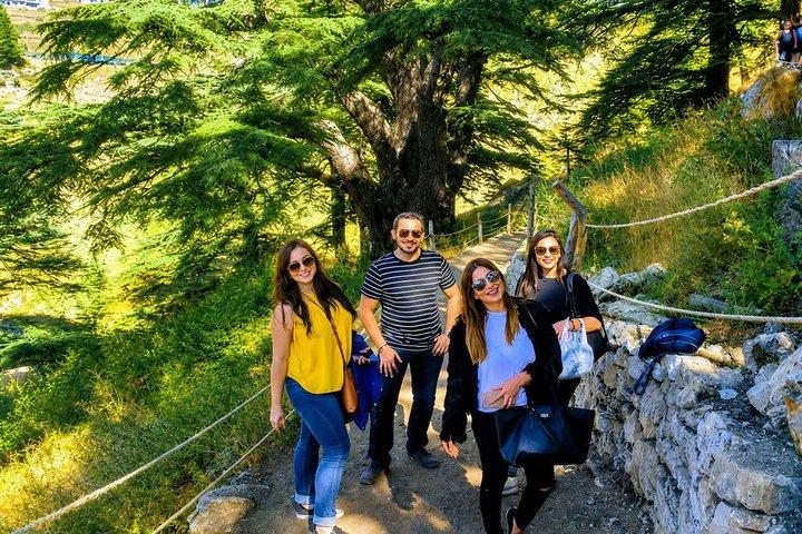 Private Full-Day Tour to Qadisha valley, Bcharre and Cedars of God from Beirut