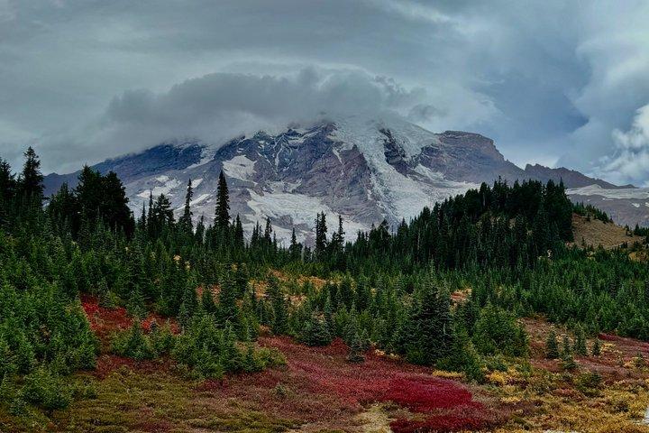 Mount Rainier Scenic National Park Day Tour in Seattle