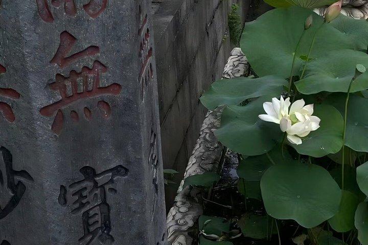 Hangzhou Must See Lingyin Temple and Feilai Peak