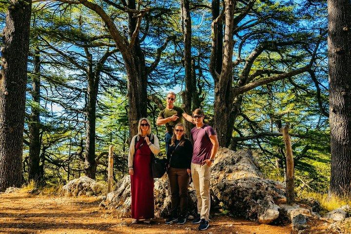 Private Qadisha Valley, Gibran Museum & Cedars Tour | Beirut