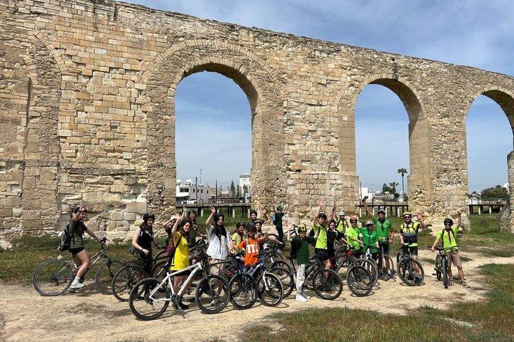 Larnaca Salt Lake and Cultural Highlights Bike Tour