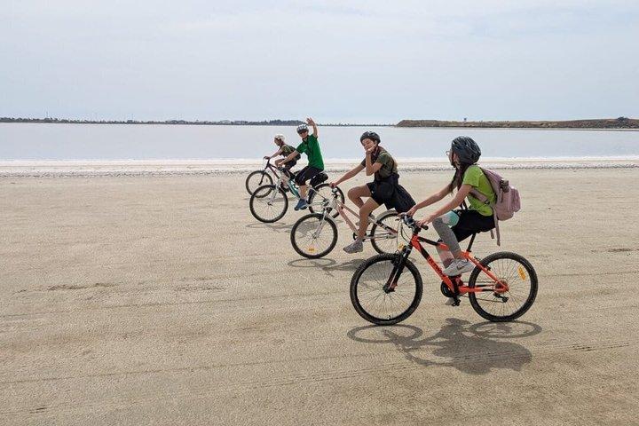 Larnaca Salt Lake and Cultural Highlights Bike Tour