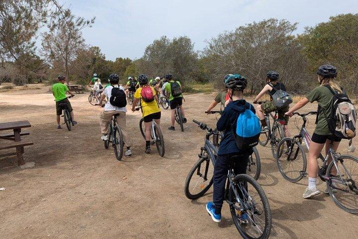 Larnaca Salt Lake and Cultural Highlights Bike Tour