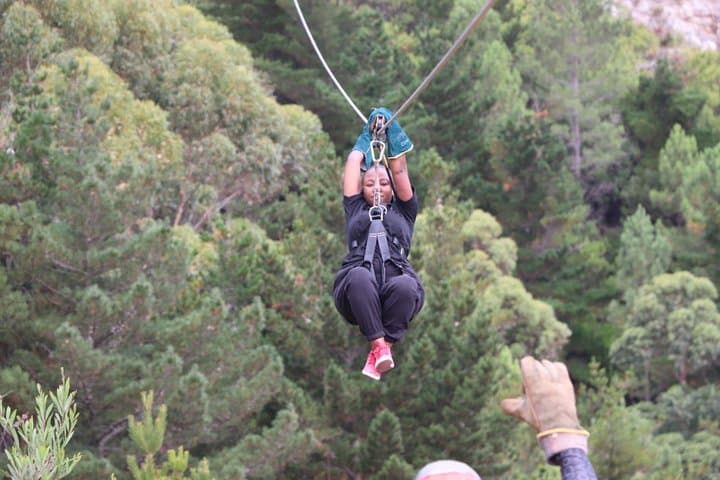 Cape Town Ziplining Wine Tasting and Table Mountain Private Tour