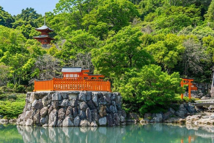 Osaka / Kyoto: Katsuoji, Arashiyama & Kinkaku-ji One Day Tour