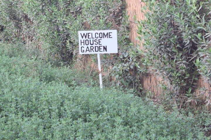 Open-Air Farm Luxor Lunch or Dinner Experience in a Green