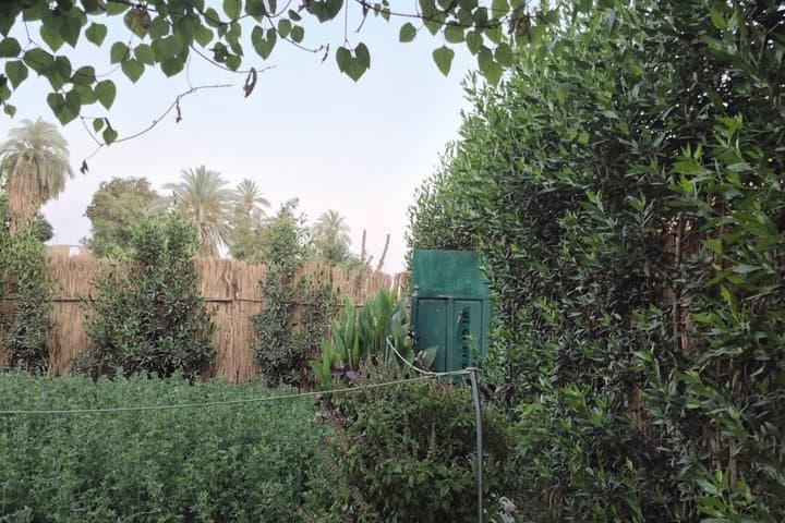 Open-Air Farm Luxor Lunch or Dinner Experience in a Green