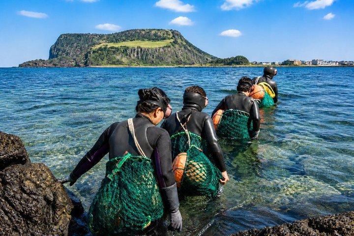 Jeju East Highlights Tour Manjanggul Lava Tube and Haenyeo Show