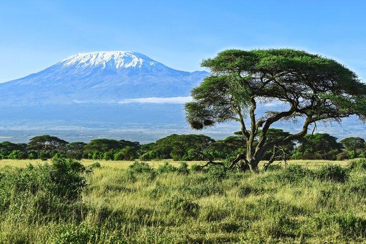 7 Day Mount Kilimanjaro Climb via Machame Route