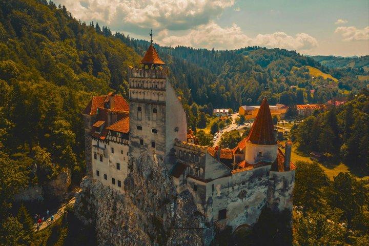 From Bucharest: Bear Sanctuary, Dracula's Castle & Brasov