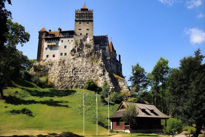 From Bucharest: Bear Sanctuary, Dracula's Castle & Brasov