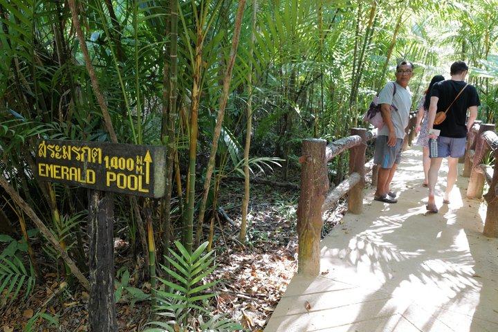 Krabi Outback Explorer to Emerald Pool, Wareerak Hotspring and Beyond