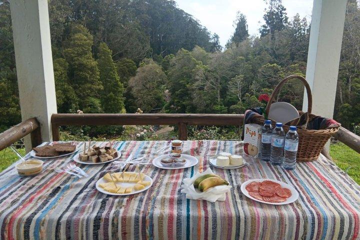 Terceira Island: Mistérios Negros Hike + Picnic + Biscoitos