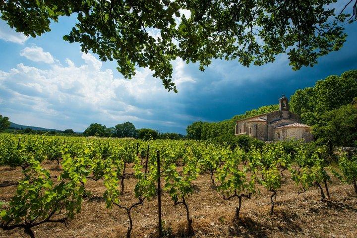 Gaillac Wine Tour Small Group Half Day Tour From Toulouse