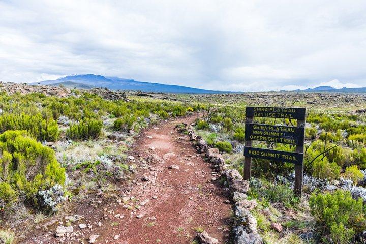 5-Day Mount Kilimanjaro Climb via Marangu Route