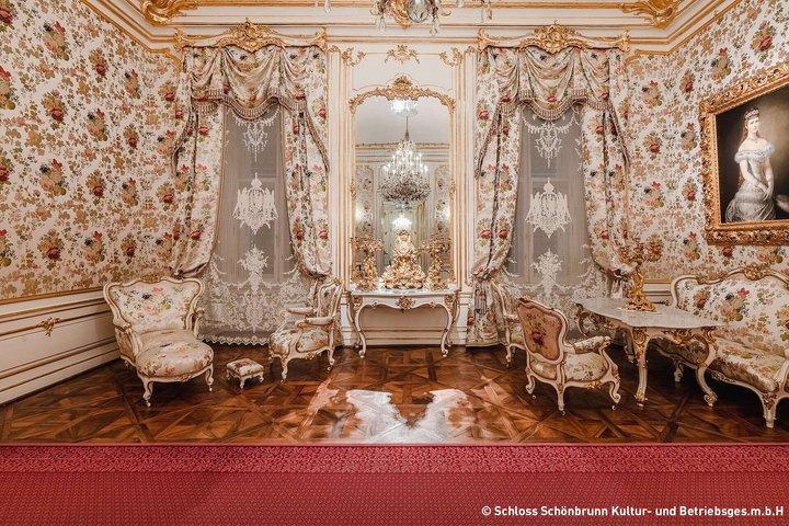 Skip-the-Line Schonbrunn Palace Guided Tour and Vienna Historical City Tour