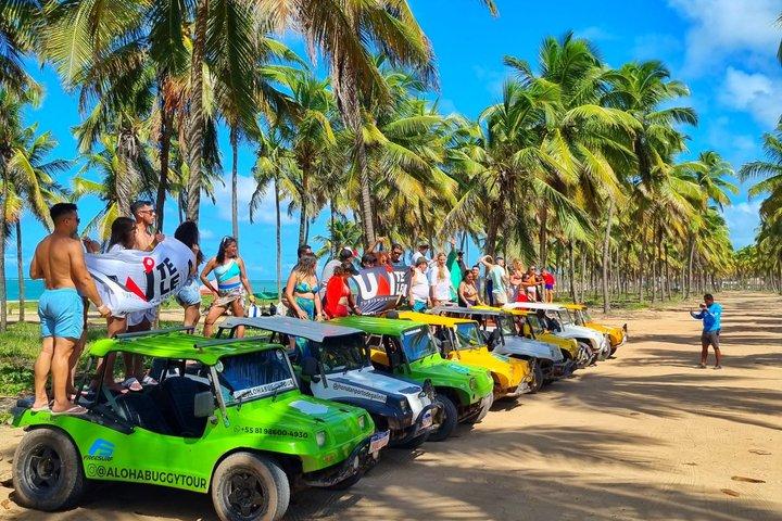 Private Transfer from Recife Airport to Porto DE Galinhas
