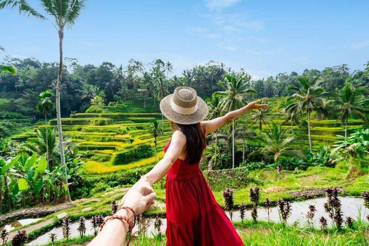 Ubud Private Tour : Tirta Empul, Tegalalang & Waterfalls