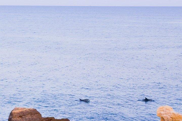 Albufeira: Sunset SUP Caves Tour w/Free Professional Photos