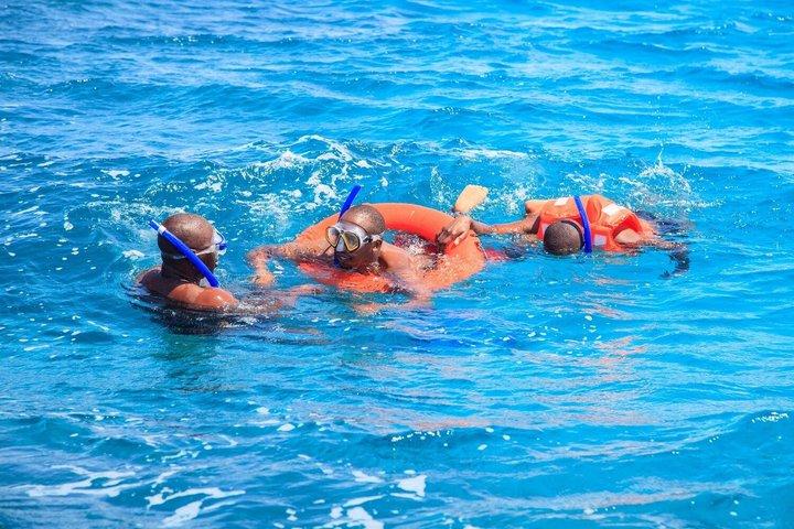 Wasini Dolphin Spotting Tour