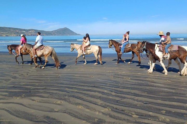 Ensenada Shore Excursion: Private Beach or Canyon Horseback