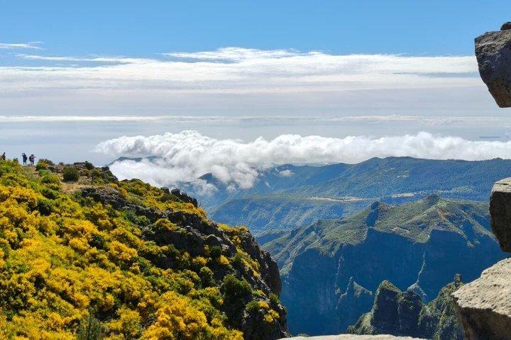 EAST: Pico do Arieiro & Laurissilva Forest - Full Day tour