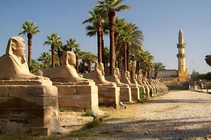 Private Half-Day Tour: Luxor and Karnak Temples