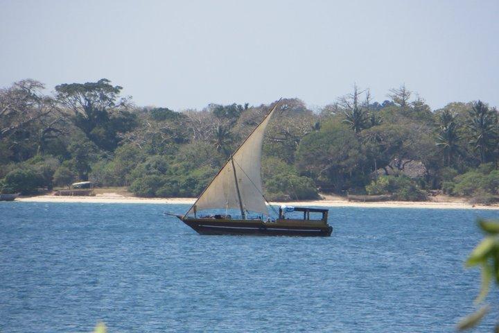 1 Day Wasini Dolphin Tour From Diani Beach