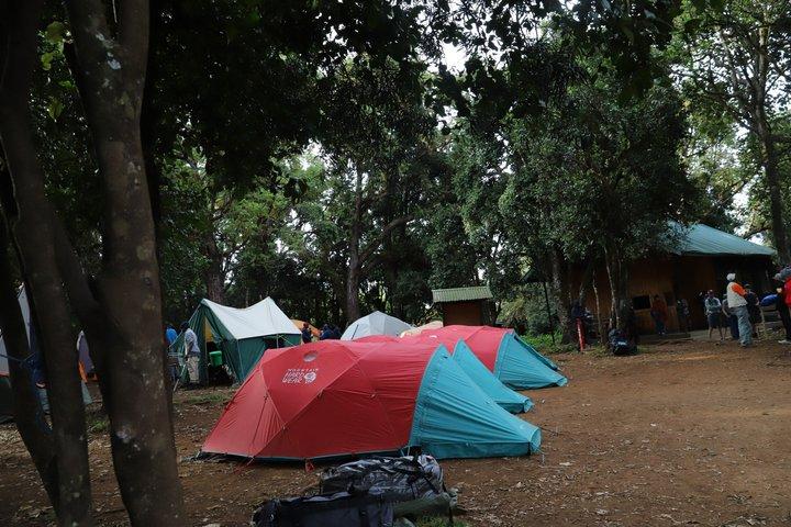 7 Days Guided Mount Kilimanjaro Climb via Rongai Route