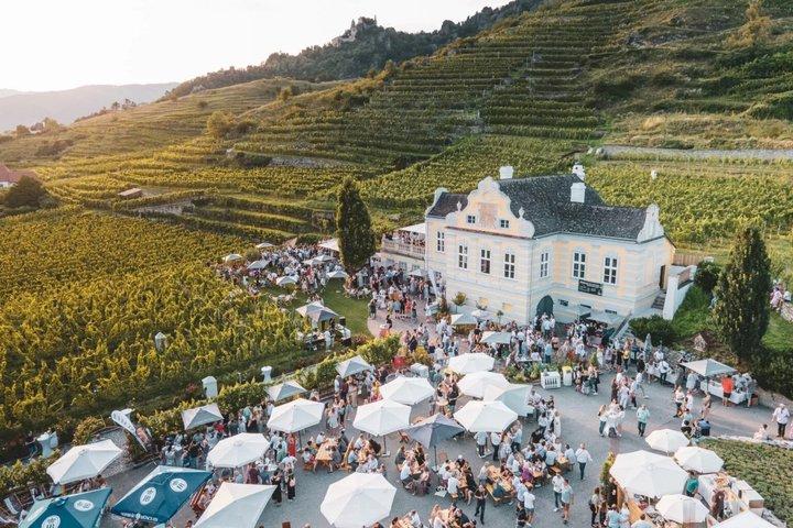 Wachau Valley Boat and Wine Private Day Experience from Vienna