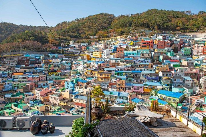 Busan Private Tour with Licensed Local guide