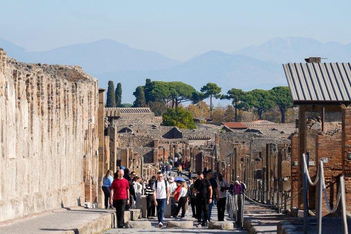Pompeii: Entrance ticket (art) + audioguide + map