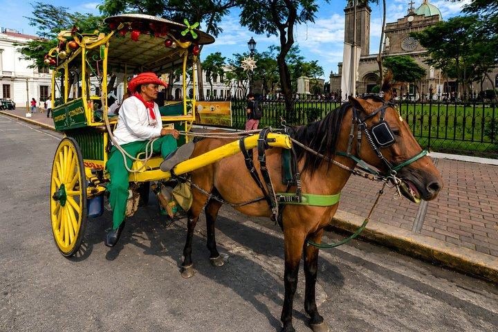 Manila Private City Tour