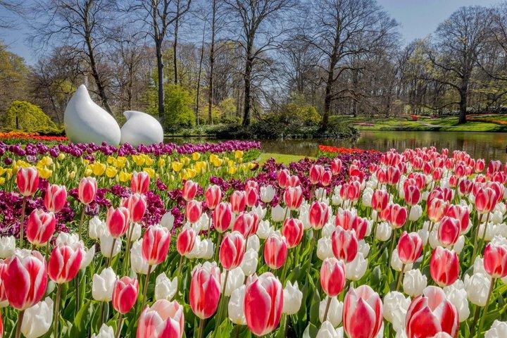 Amsterdam Airport: Tour to Keukenhof incl. Ticket & Flex Return