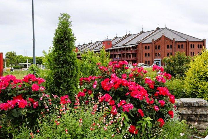 Yokohama Walking Tour Explore Japan Gateway to the World