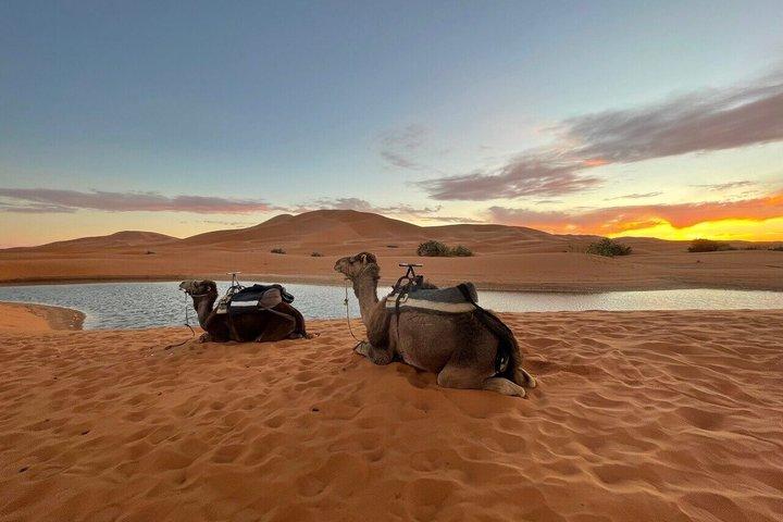 4-Day Desert Tour Tangier to Marrakech via Fez & Erg Chebbi