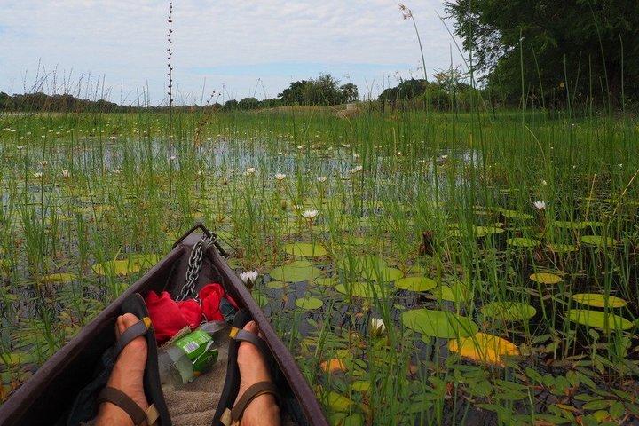 Guided Mokoro Tours in the Maun Educational Park