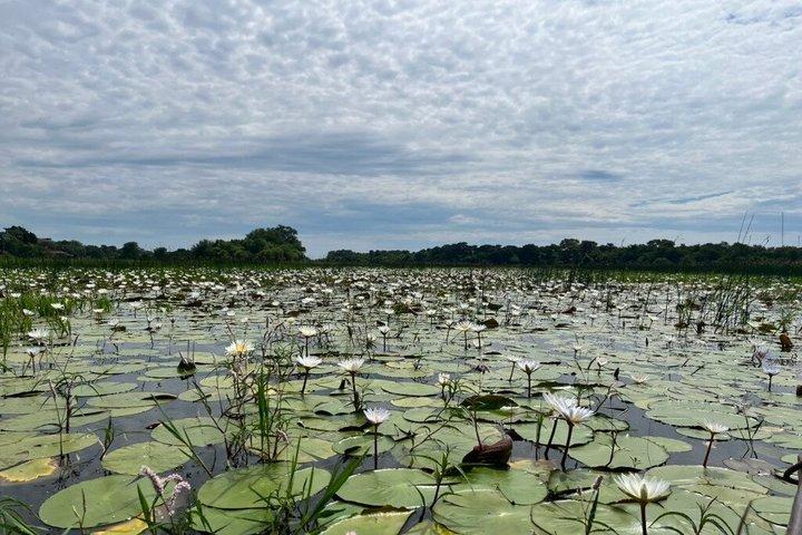 Guided Mokoro Tours in the Maun Educational Park