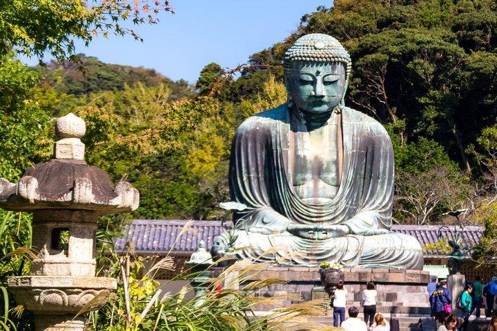 Nara Deer Park Todaiji and Buddha Temple Walking Tour