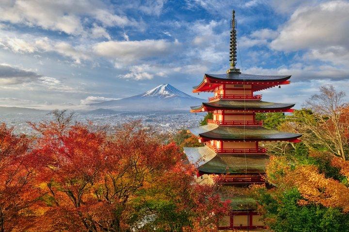 Mt. Fuji Signature 6 Scenic Spots One Day Tour from Tokyo