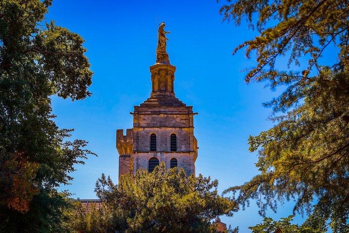 Avignon's history, local culture & the wines of Châteauneuf du Pape private tour