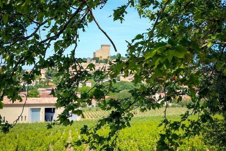 Châteauneuf Du Pape intensive vineyard & fine wine experience