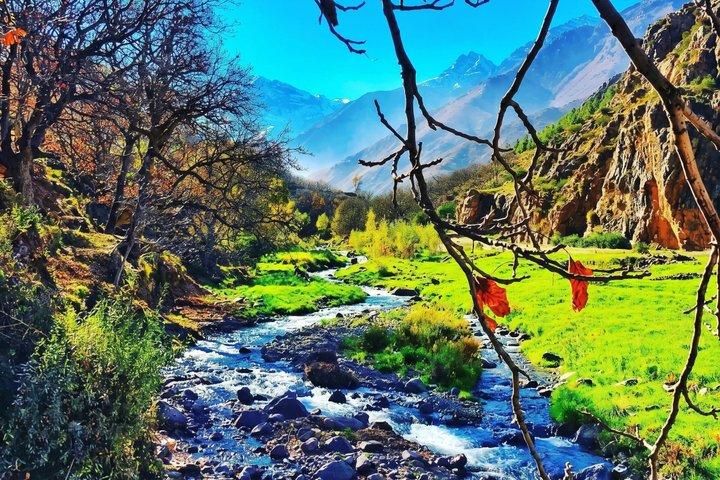 From Marrakech: Atlas Mountains, Imlil Valley Guided Hike, Lunch