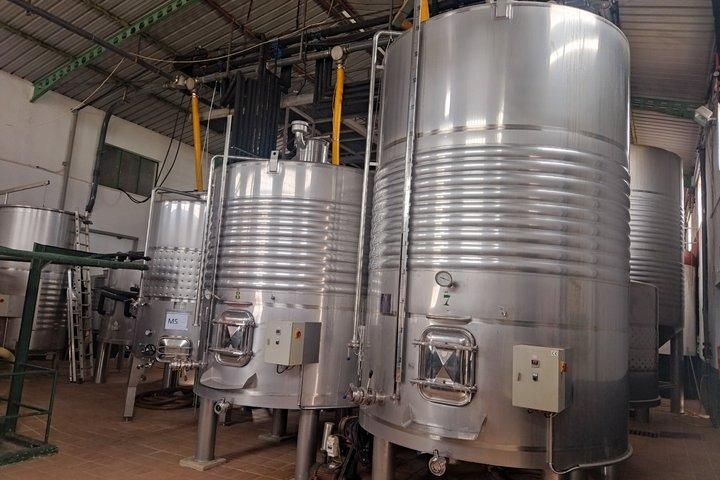 Organic Wine and Olive Oil Tour with Tapas From Málaga