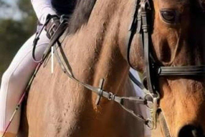 Horse Riding in Piliyandala