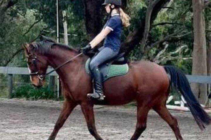 Horse Riding in Piliyandala