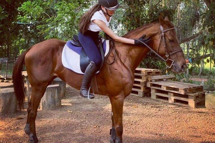 Horse Riding in Piliyandala