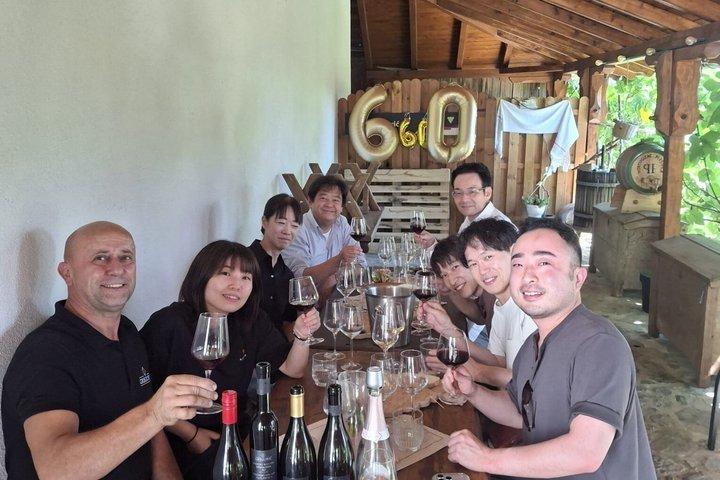 Private Wine Tour from Zagreb: Two Local Wineries & Samobor