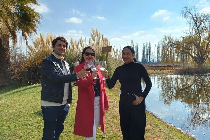 Chandon + 2 wineries + Olivicola